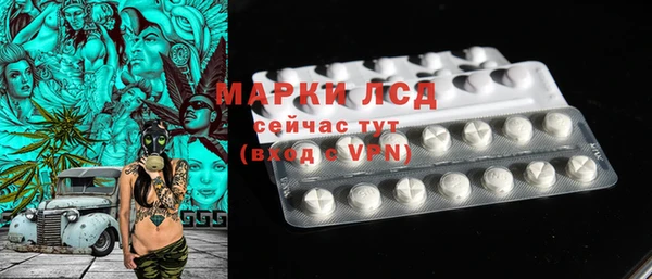 ГАЛЛЮЦИНОГЕННЫЕ ГРИБЫ Баксан