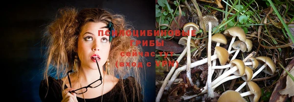 ГАЛЛЮЦИНОГЕННЫЕ ГРИБЫ Баксан