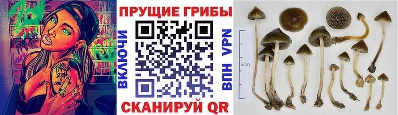 Псилоцибиновые грибы ЛСД  Купить где  Лагань 